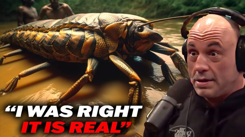 Joe Rogan - World's Biggest Bug, Anaconda! It Is REAL!